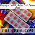 Kamagra 100Mg Jalea Oral Cómo Usar 19